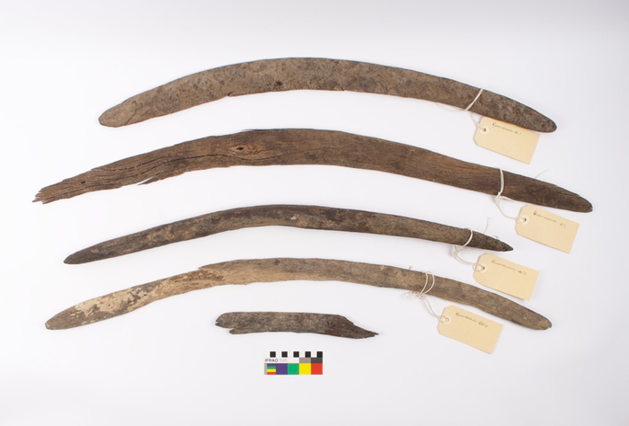 Rare boomerang collection from Cooper Creek (Kinipapa)