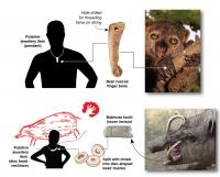 Graphic Illustrating the Find