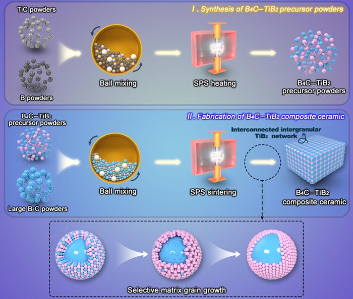 Schematic diagram of the preparation process and microstructure evolution of B4C–TiB2 composite ceramics