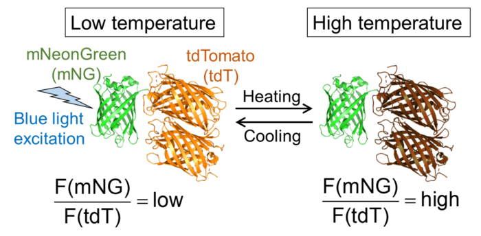 Fig. 1.