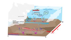 Conceptual summary of the sources and biogeochemical processes of dissolved Fe in the Amundsen Sea