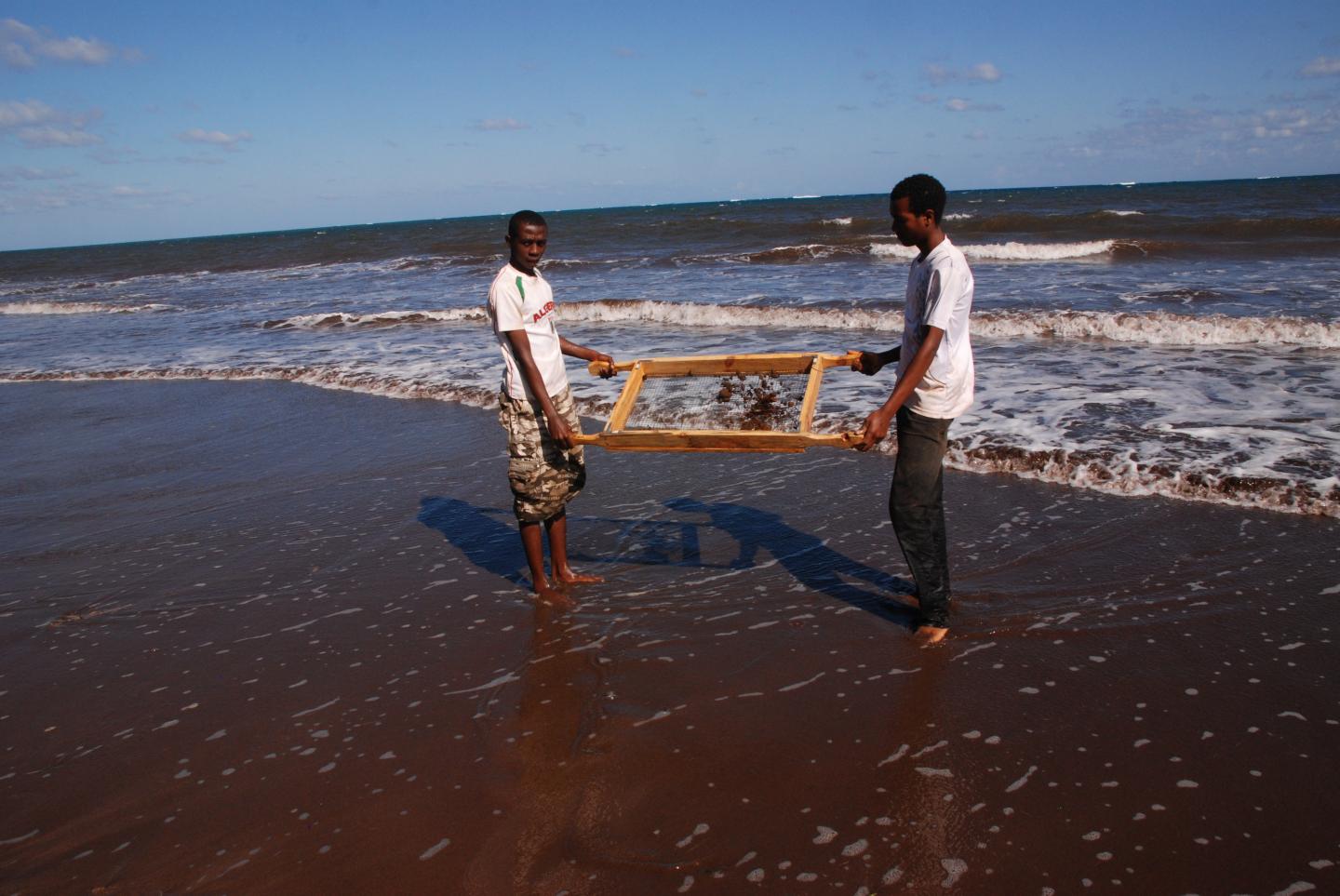 Archaeologists Working on Comoros