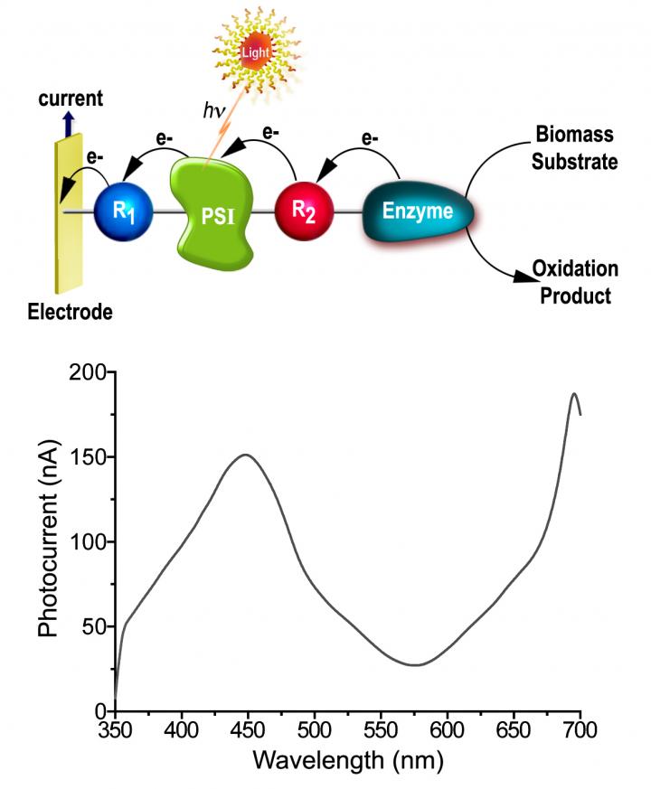 Converting Solar Energy into Electrical Power