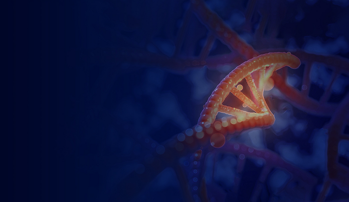 NIH initiative to systematically investigate and establish function of every human gene