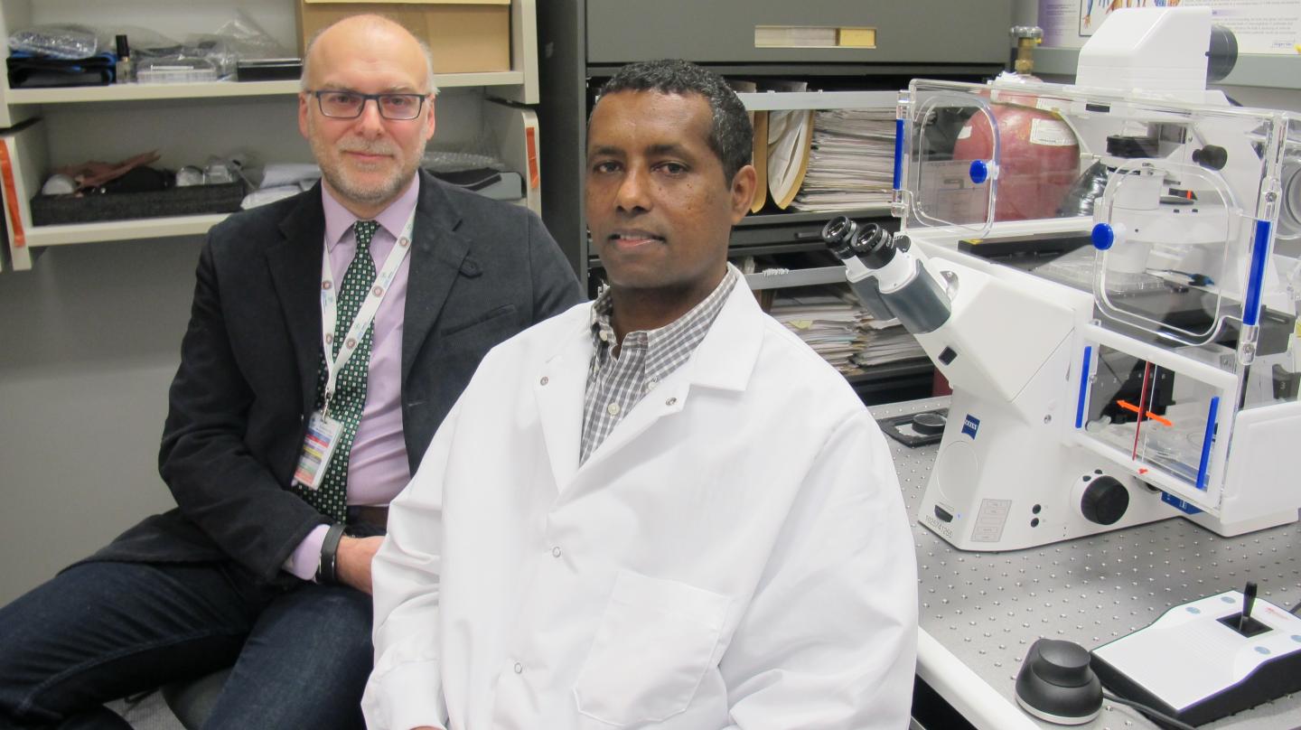  Fabrizio Giuliani and Yohannes Haile