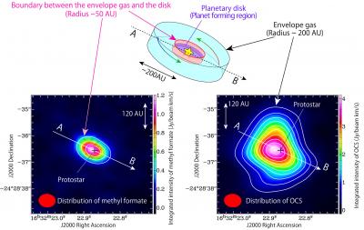 Infalling Gas around the Protostar