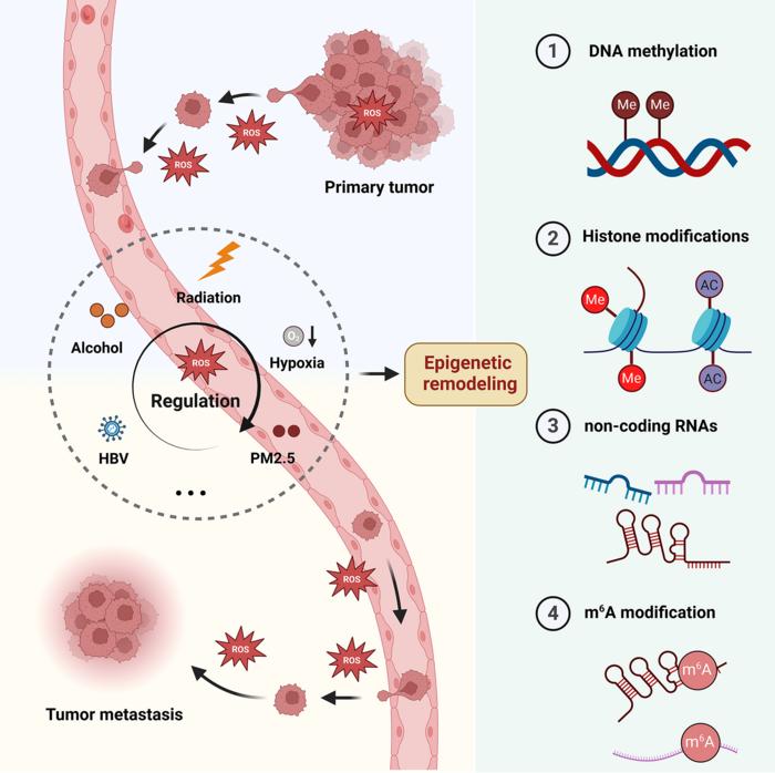 ROS-mediated epigenetic reprogramming regulates tumor metastasis