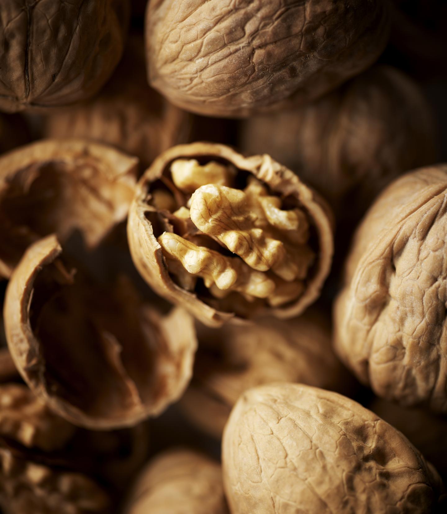 Walnuts May Support Sperm Heal [IMAGE] EurekAlert! Science News Releases