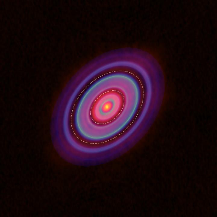 Distributions in the Disk Around HL Tauri