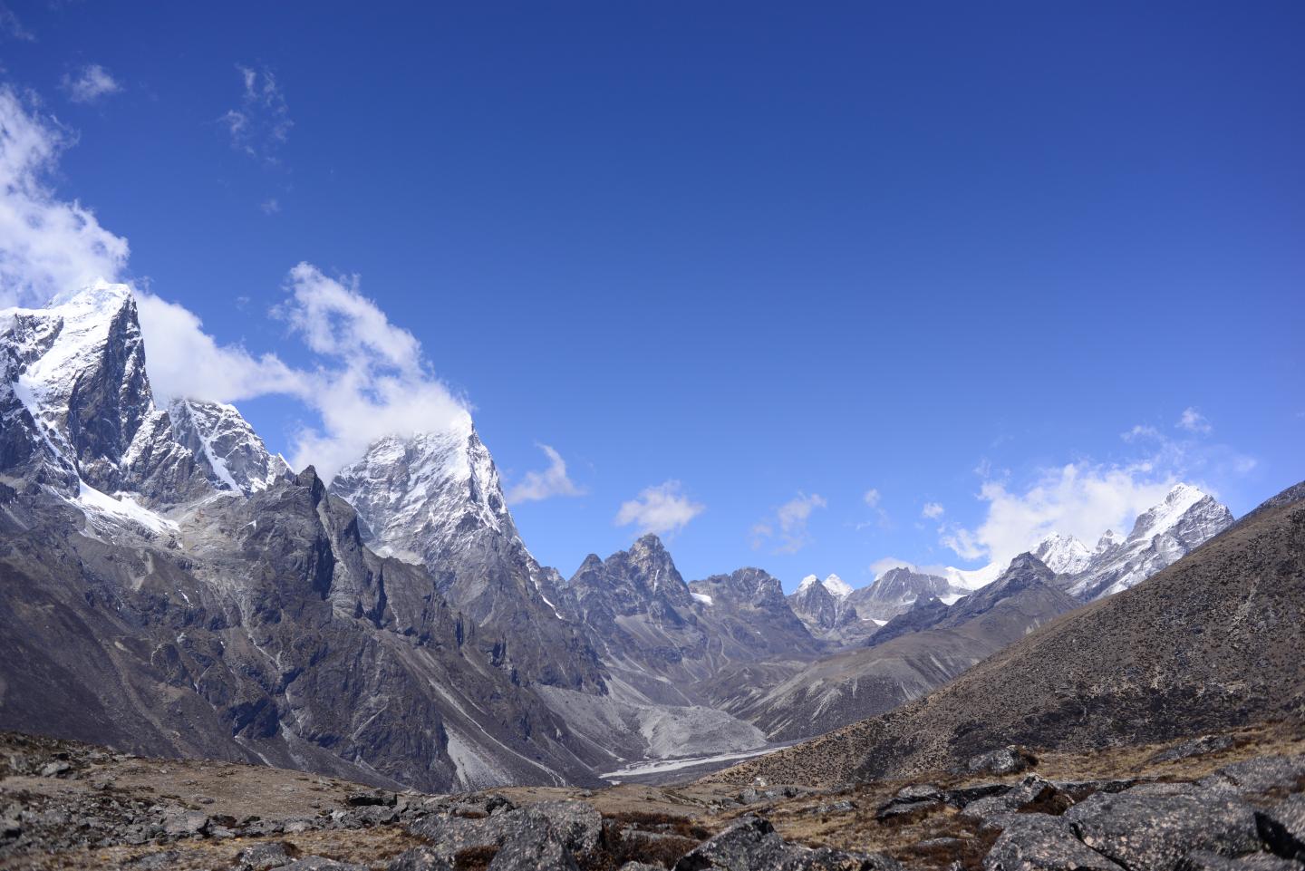 Subnival Vegetation in the Himalayan Region (1 of 3)