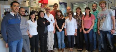 IDIBELL Research Group