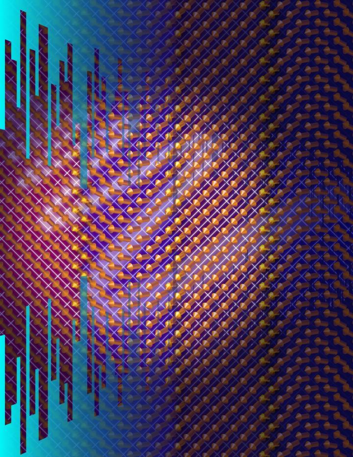 Domain-Wall Variant Ferroelectric Material