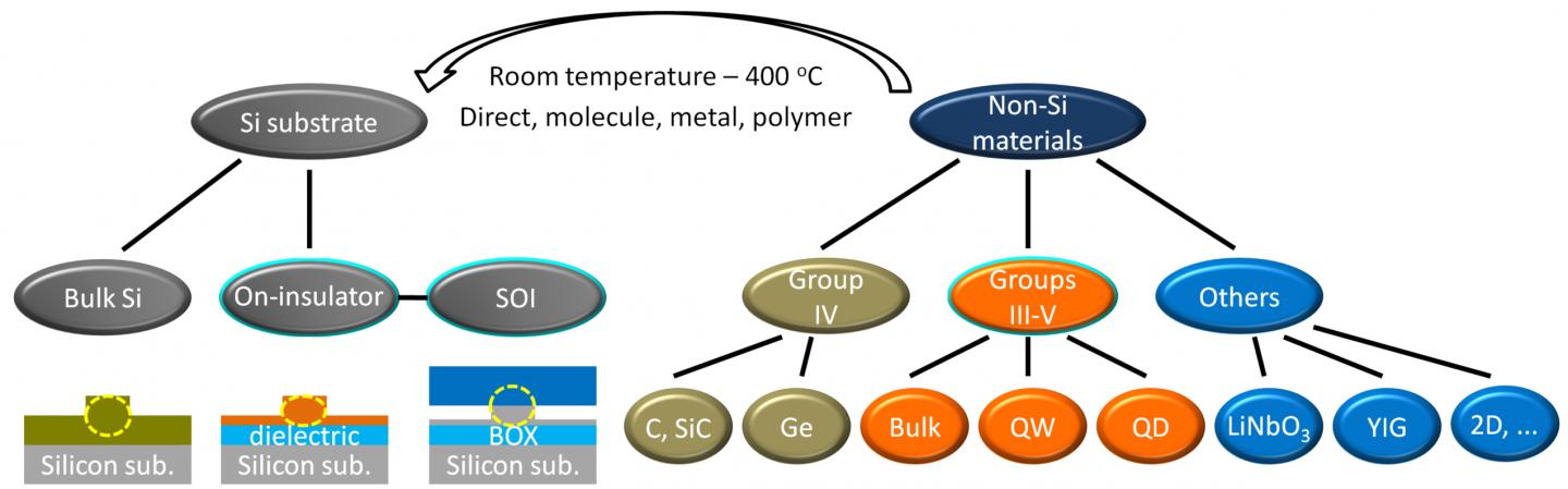 Figure | Schematic overview of heterogeneous Si photonics and its developing branches