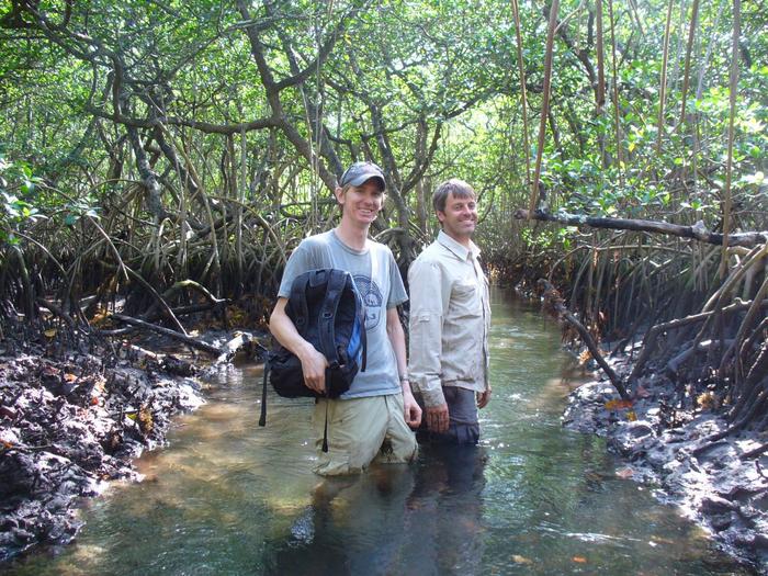 Study co-author NTU Singapore Professor Benjamin Horton on a field research in a mangrove forest.