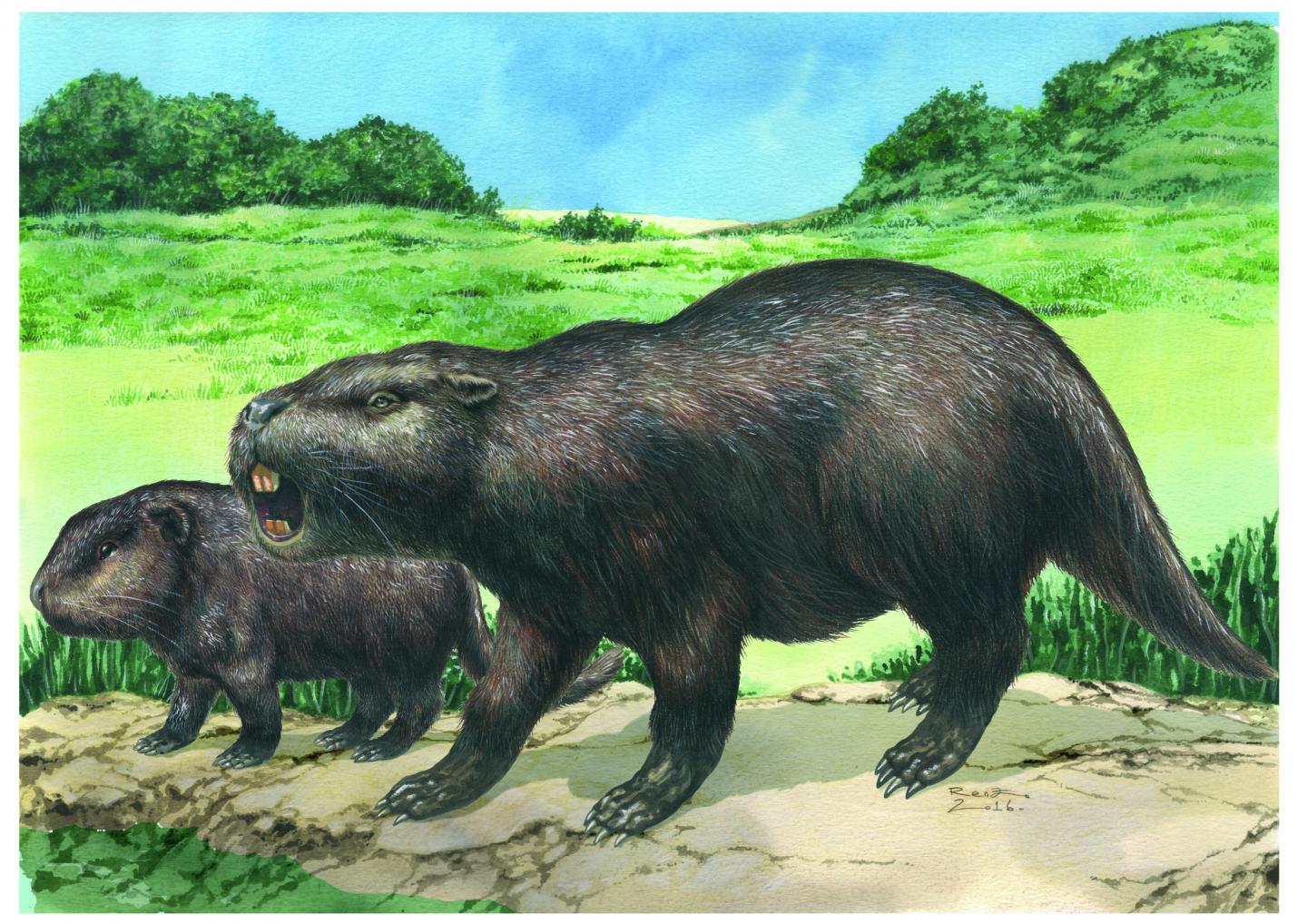 An Artist's Impression of the Giant Rodent