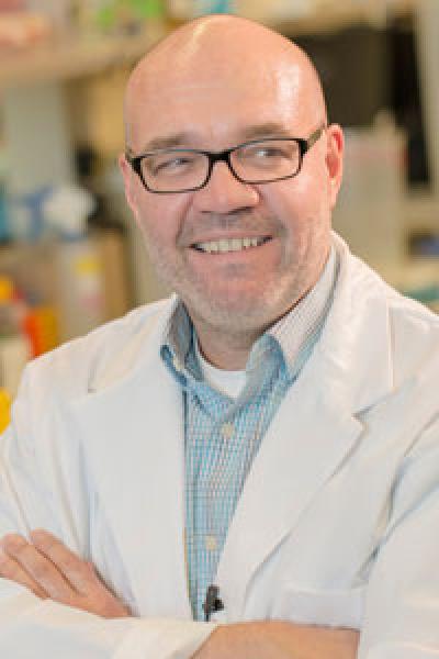 Gerry Wright, McMaster University