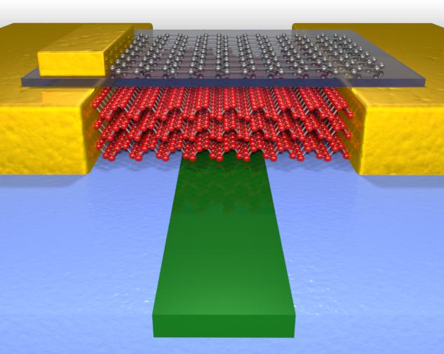 High Performance Photodetector