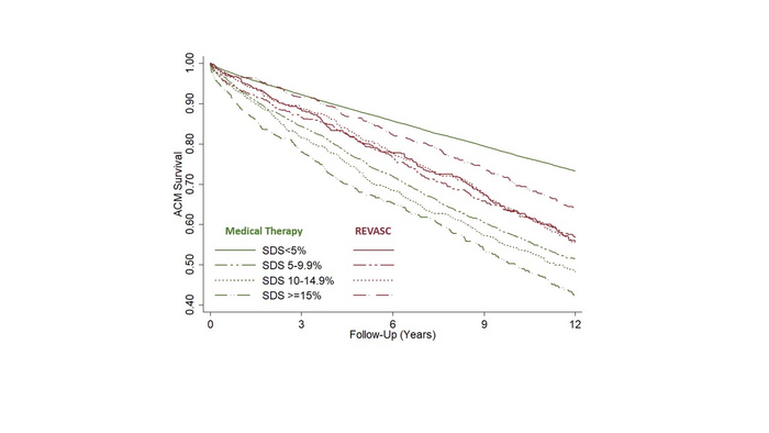 Survival according to the magnitude of inducible ischemia and early revascularization status