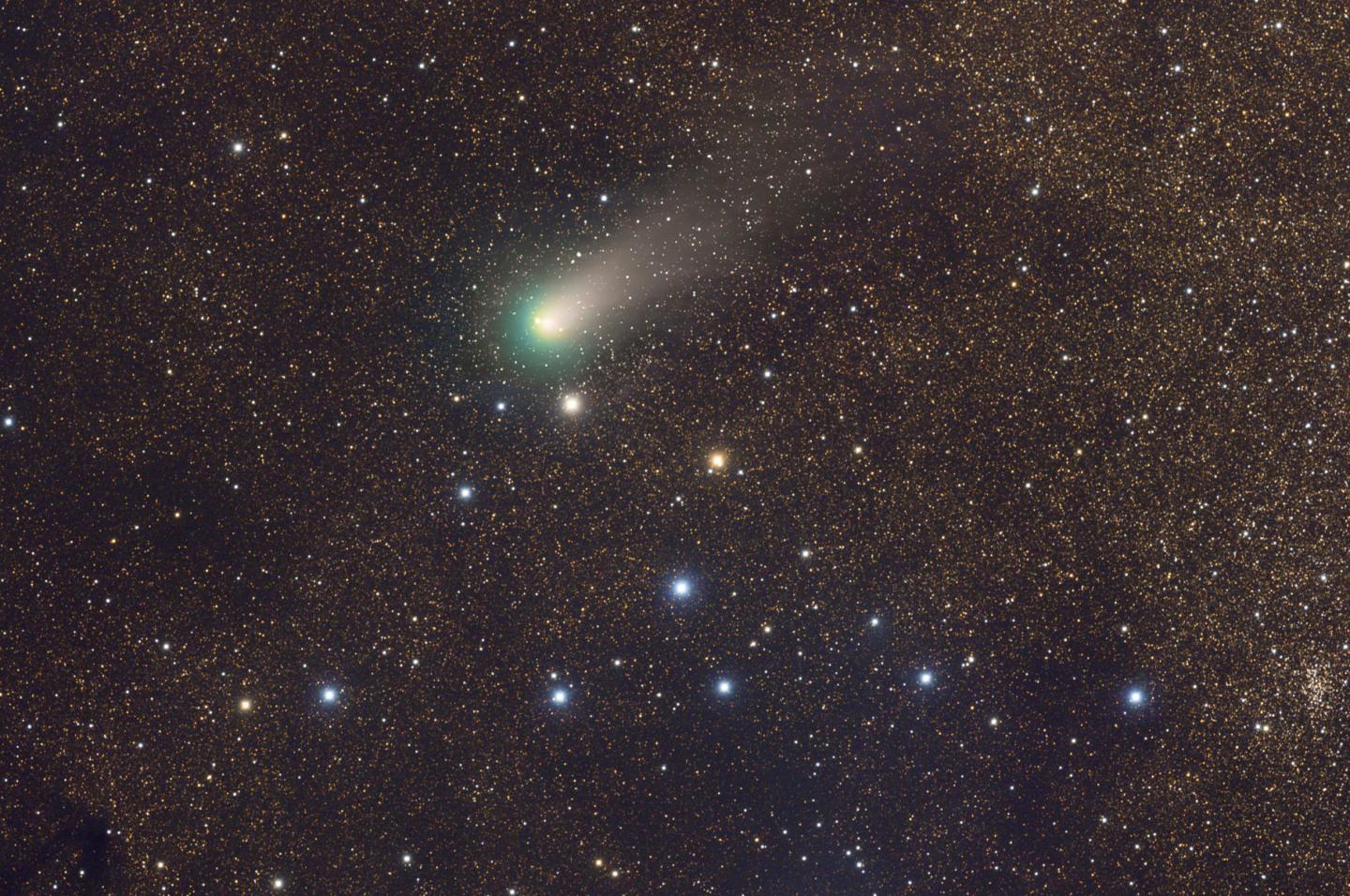 Comet C/2009 P1