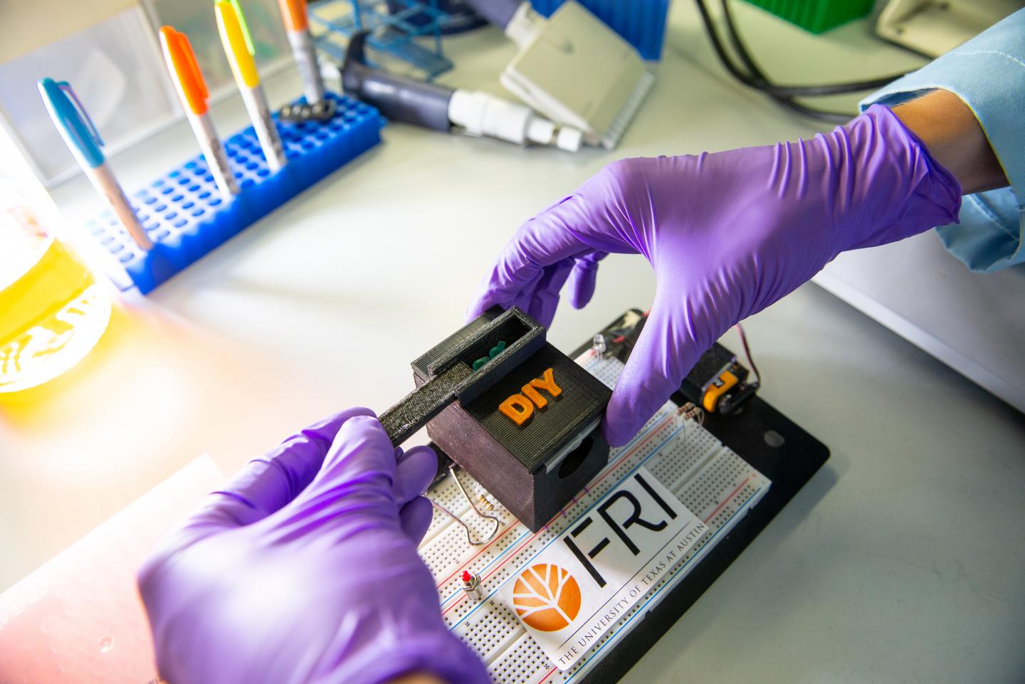 Mosquito Species Analyzer