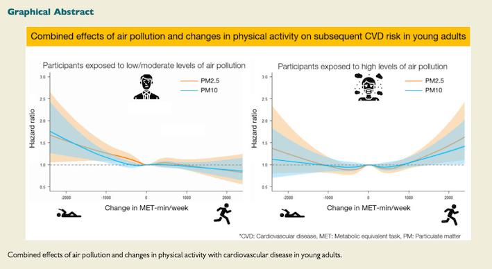Air Pollution and Physical Exercise: when to Do More or Less