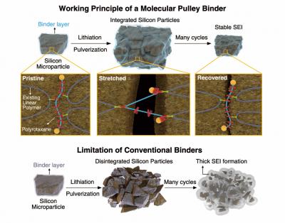 Molecular Pulley Binder