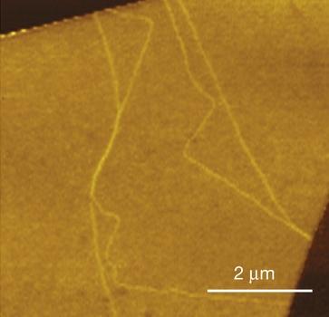 Near-Field IR Imaging of 1-D Conducting Channels in Bilayer Graphene