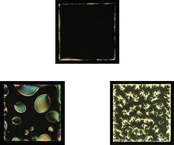 Liquid Crystals Find Use as Neuro-Degenerative Disease Detector