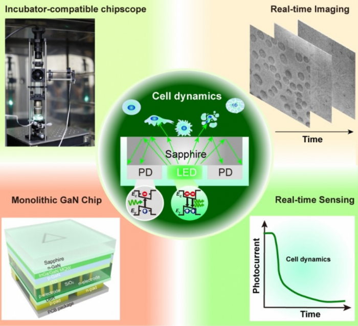 Image 2 [IMAGE] | EurekAlert! Science News Releases