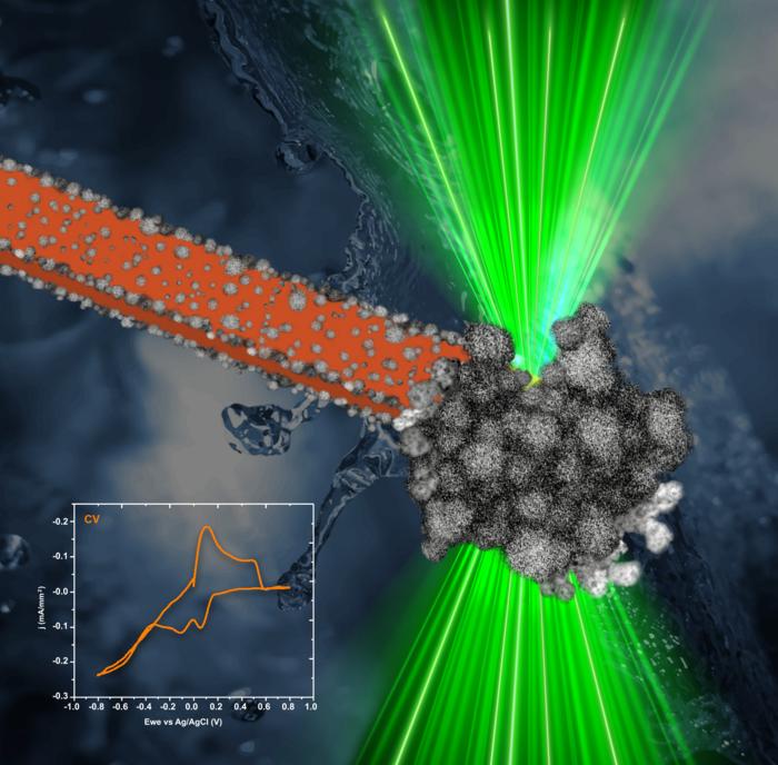 In-situ liquid-cell transmission electron microscopy electrodeposition of PtNi nanoparticle films on a carbon electrode during cyclic voltammetry.