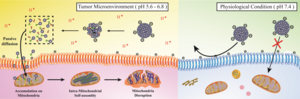 Schematic illustration of disassembly–assembly approach of mitochondria targeted conventional drug free agents with enhanced selectivity.