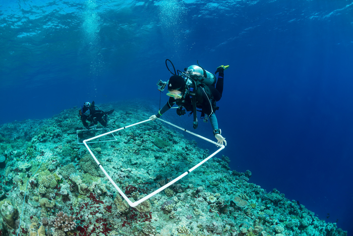 Over 200 scientists helped survey over 1,000 reefs on the Global Reef Expedition