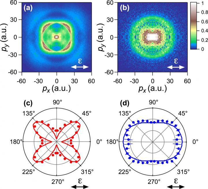 Fig. 1 Momentum distribution of N+ ions