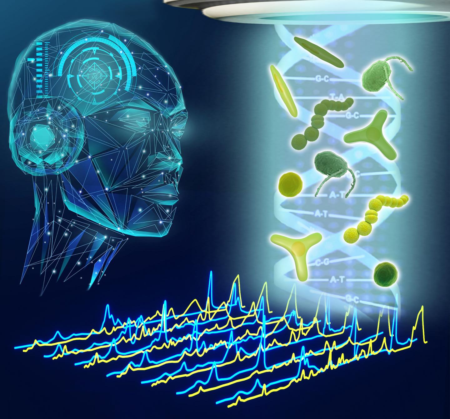 Machine learning of ramanomes helps screening microalgal cell factories that fix carbon dioxide