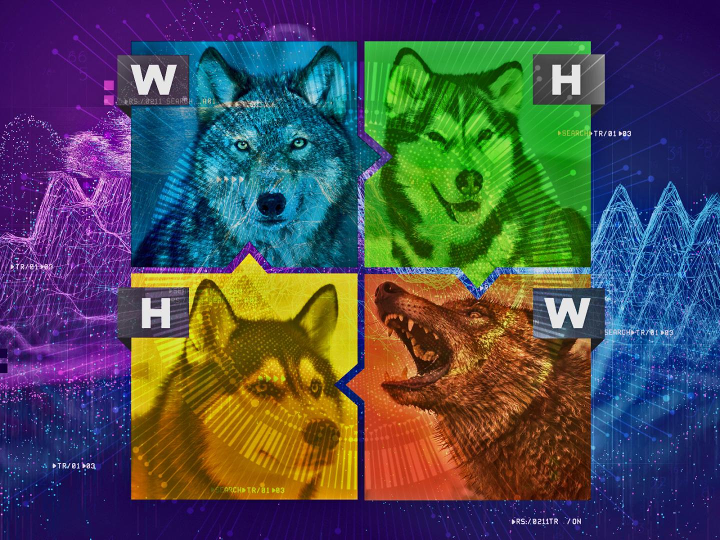 Explainable AI Illustration