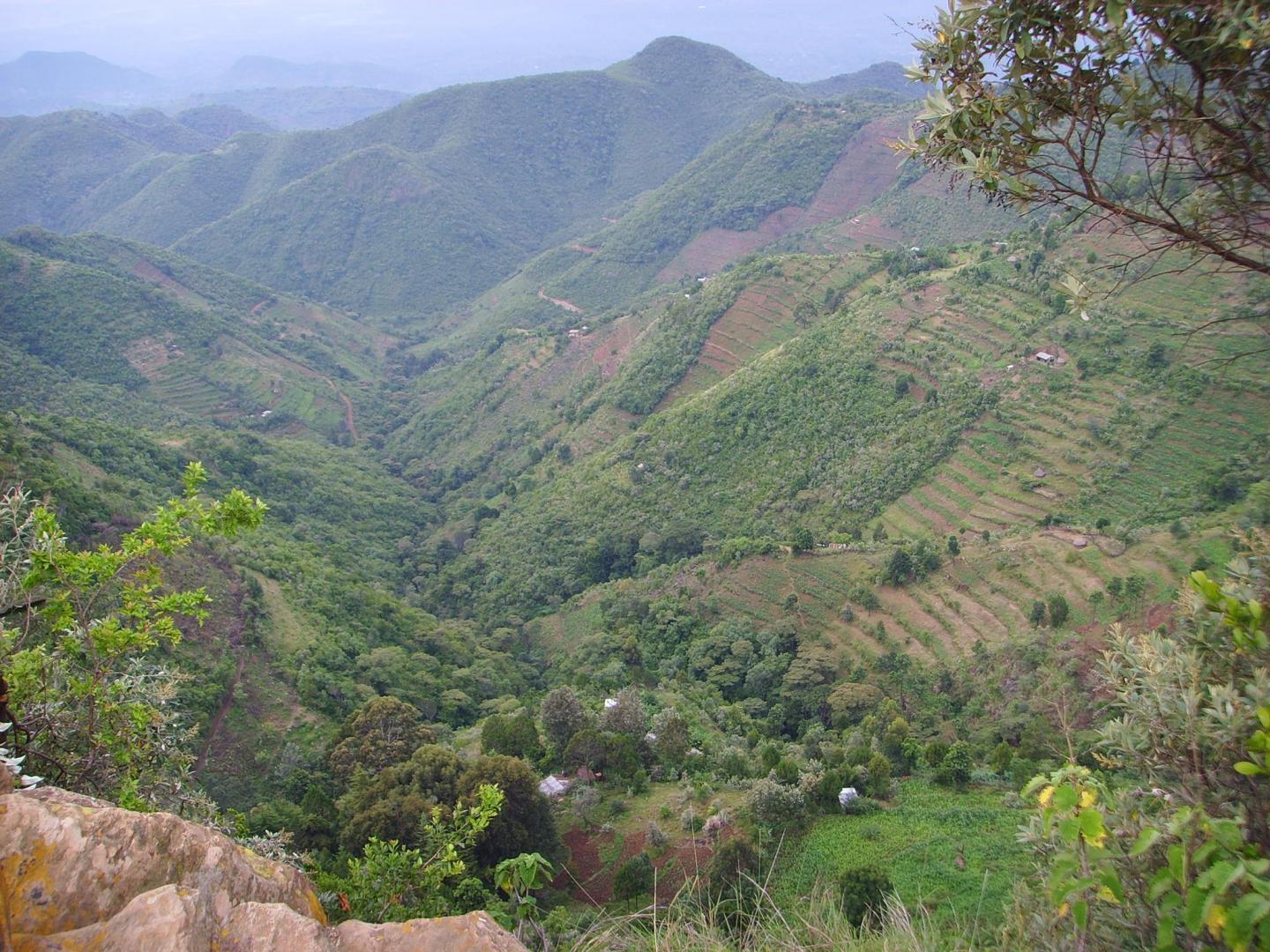 Kenyan terraces