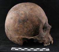 Image of Otomi Skull