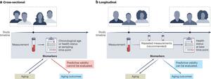 Cohort Study Desing in Biomarkers of Aging