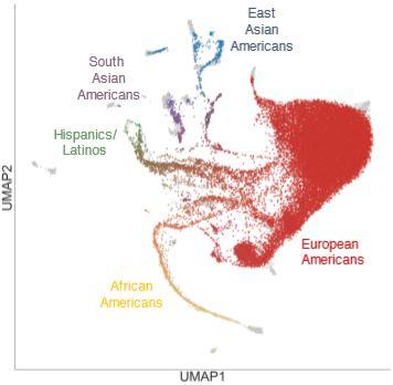 Genetic Map