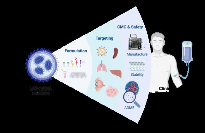 Fig. 1 Establishing chemistry, formulation, targeted delivery, and CMC approaches to tackle the hurdles hindering LNP-mRNA clinical translation. Created with BioRender.com.