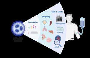 Fig. 1 Establishing chemistry, formulation, targeted delivery, and CMC approaches to tackle the hurdles hindering LNP-mRNA clinical translation. Created with BioRender.com.