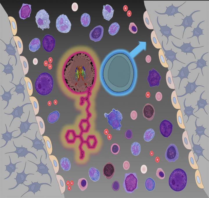 Approved Drug Tamoxifen, Molecular Weapon to Treat Blood Neoplasms