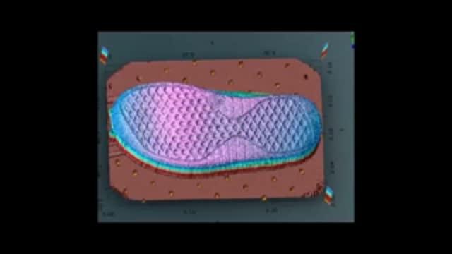 Detailed Image of a Shoe Sole as Mapped by NIST's 3-D Laser Detection and Ranging System