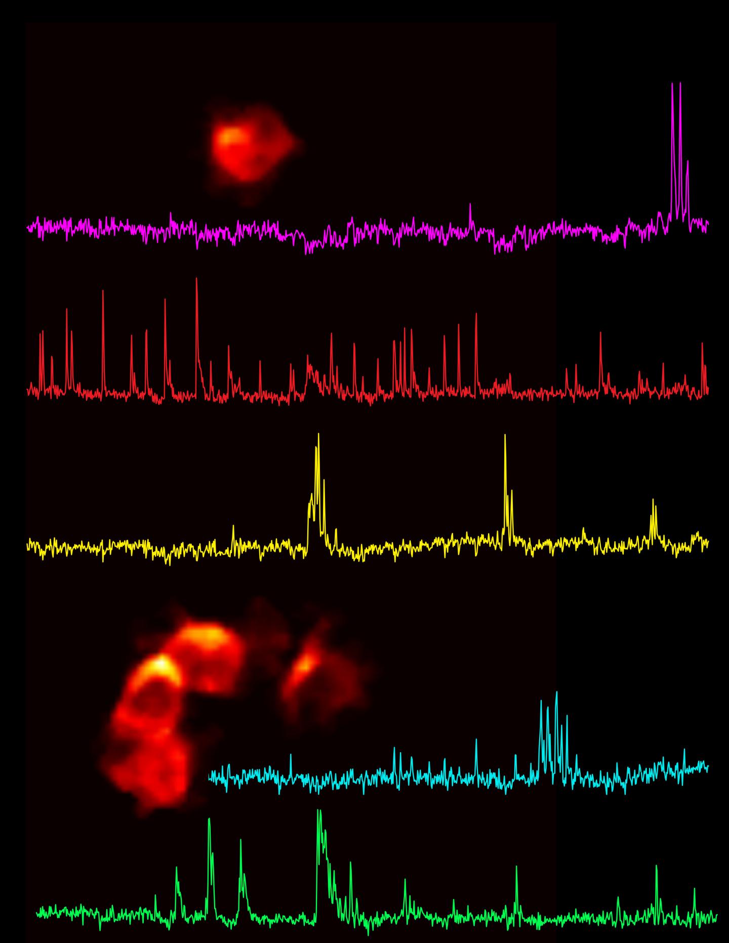 Cerebellar Neurons Exhibit Surprising Level of Activity