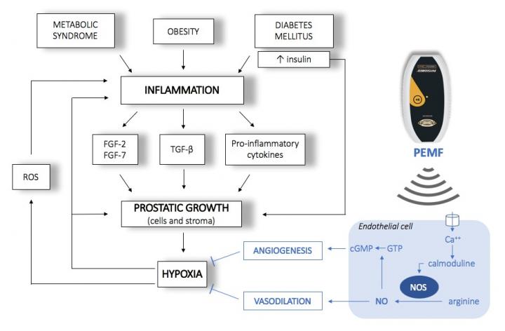 PULSED ELECTROMAGNETIC FIELD THERAPY - Innovative Therapy Canada.