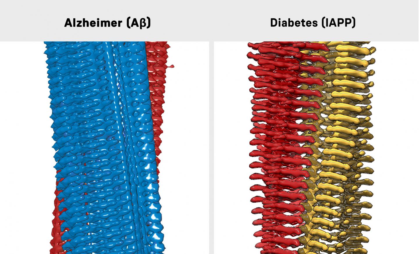 3D Reconstruction