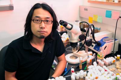 Yoichiro Tamori, Florida State University