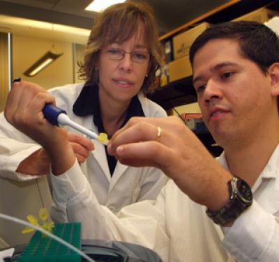 Dr. Rita C. Tostes and Victor Lima (1 of 2)