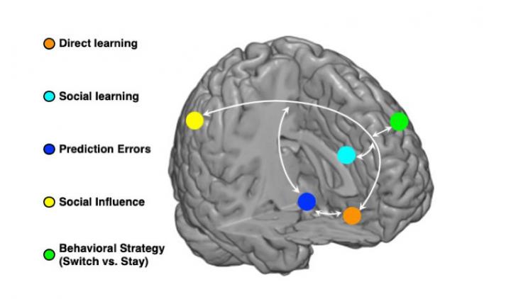 Illustration Brain