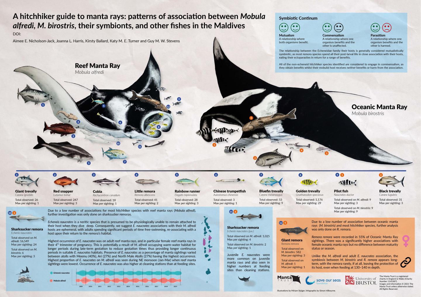 A Hitchhiker's Guide to Manta Rays